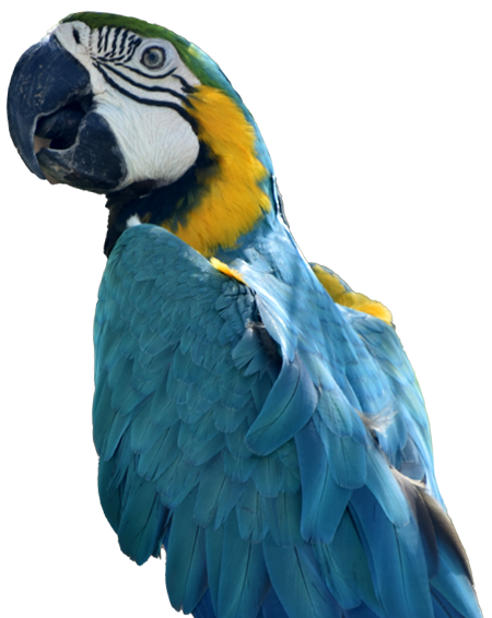 EcoZoo San Andrés