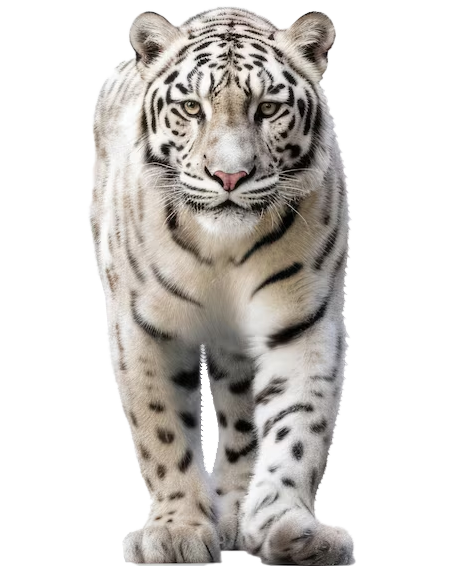 EcoZoo San Martín